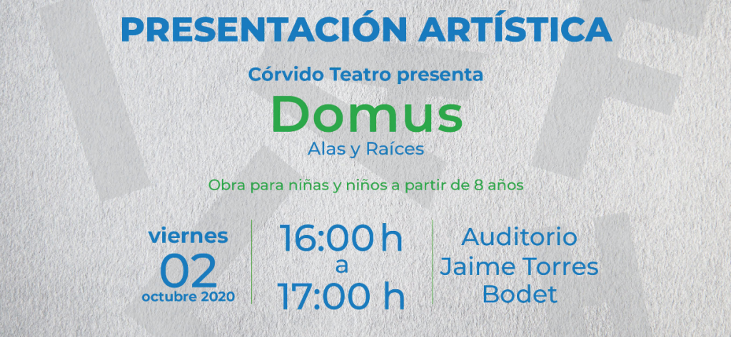 413_Domus