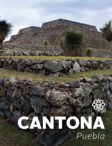 Cantona