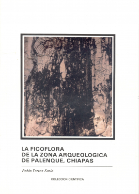 003CCI0271