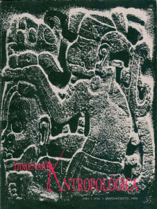 Dimensión Antropológica Volumen 1, Año 1