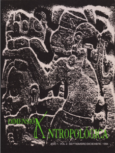Dimensión Antropológica Volumen 2, Año 1