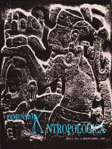 Dimensión Antropológica Volumen 3, Año 2
