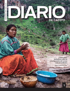 Diario de Campo Número 1, 4ª época