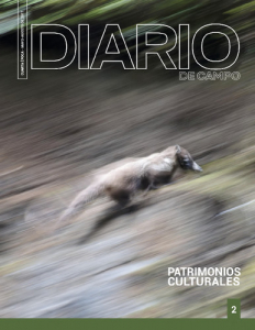 Diario de Campo Número 2, 4ª época